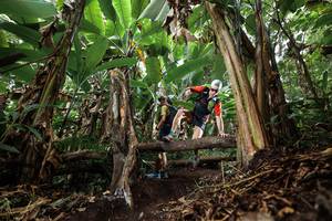 BIB: 
                            <button type="button" onclick="openModal(22392988)" class="btn btn-primary btn-sm float-right btn-popup" data-toggle="modal" data-target=".modal-high-quality">
                        <i class="fas fa-shopping-cart"></i> Add to Cart
                    </button>
                                            <button type="button" onclick="isThisMe(22392988, true)" class="btn btn-success btn-sm float-right btn-popup btn-isme hidden" data-toggle="tooltip" data-placement="bottom" title="นี่คือรูปของคุณใช่ไหม คลิกที่นี่เพื่อเอาเข้าอัลบั้ม">
                        <i class="fas fa-plus"></i> Add to album
                    </button>
                    <button type="button" onclick="isThisMe(22392988, false)" class="btn btn-warning btn-sm float-right btn-popup btn-isnotme hidden">
                        <i class="fas fa-ban"></i> Remove from album
                    </button>