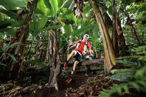 BIB: 
                            <button type="button" onclick="openModal(22393485)" class="btn btn-primary btn-sm float-right btn-popup" data-toggle="modal" data-target=".modal-high-quality">
                        <i class="fas fa-shopping-cart"></i> Add to Cart
                    </button>
                                            <button type="button" onclick="isThisMe(22393485, true)" class="btn btn-success btn-sm float-right btn-popup btn-isme hidden" data-toggle="tooltip" data-placement="bottom" title="นี่คือรูปของคุณใช่ไหม คลิกที่นี่เพื่อเอาเข้าอัลบั้ม">
                        <i class="fas fa-plus"></i> Add to album
                    </button>
                    <button type="button" onclick="isThisMe(22393485, false)" class="btn btn-warning btn-sm float-right btn-popup btn-isnotme hidden">
                        <i class="fas fa-ban"></i> Remove from album
                    </button>