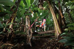 BIB: 
                            <button type="button" onclick="openModal(22418692)" class="btn btn-primary btn-sm float-right btn-popup" data-toggle="modal" data-target=".modal-high-quality">
                        <i class="fas fa-shopping-cart"></i> Add to Cart
                    </button>
                                            <button type="button" onclick="isThisMe(22418692, true)" class="btn btn-success btn-sm float-right btn-popup btn-isme hidden" data-toggle="tooltip" data-placement="bottom" title="นี่คือรูปของคุณใช่ไหม คลิกที่นี่เพื่อเอาเข้าอัลบั้ม">
                        <i class="fas fa-plus"></i> Add to album
                    </button>
                    <button type="button" onclick="isThisMe(22418692, false)" class="btn btn-warning btn-sm float-right btn-popup btn-isnotme hidden">
                        <i class="fas fa-ban"></i> Remove from album
                    </button>