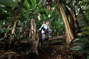 BIB: 
                            <button type="button" onclick="openModal(22419222)" class="btn btn-primary btn-sm float-right btn-popup" data-toggle="modal" data-target=".modal-high-quality">
                        <i class="fas fa-shopping-cart"></i> Add to Cart
                    </button>
                                            <button type="button" onclick="isThisMe(22419222, true)" class="btn btn-success btn-sm float-right btn-popup btn-isme hidden" data-toggle="tooltip" data-placement="bottom" title="นี่คือรูปของคุณใช่ไหม คลิกที่นี่เพื่อเอาเข้าอัลบั้ม">
                        <i class="fas fa-plus"></i> Add to album
                    </button>
                    <button type="button" onclick="isThisMe(22419222, false)" class="btn btn-warning btn-sm float-right btn-popup btn-isnotme hidden">
                        <i class="fas fa-ban"></i> Remove from album
                    </button>