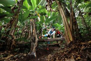 BIB: 
                            <button type="button" onclick="openModal(22392968)" class="btn btn-primary btn-sm float-right btn-popup" data-toggle="modal" data-target=".modal-high-quality">
                        <i class="fas fa-shopping-cart"></i> Add to Cart
                    </button>
                                            <button type="button" onclick="isThisMe(22392968, true)" class="btn btn-success btn-sm float-right btn-popup btn-isme hidden" data-toggle="tooltip" data-placement="bottom" title="นี่คือรูปของคุณใช่ไหม คลิกที่นี่เพื่อเอาเข้าอัลบั้ม">
                        <i class="fas fa-plus"></i> Add to album
                    </button>
                    <button type="button" onclick="isThisMe(22392968, false)" class="btn btn-warning btn-sm float-right btn-popup btn-isnotme hidden">
                        <i class="fas fa-ban"></i> Remove from album
                    </button>