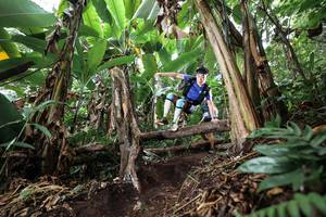 BIB: 
                            <button type="button" onclick="openModal(22414999)" class="btn btn-primary btn-sm float-right btn-popup" data-toggle="modal" data-target=".modal-high-quality">
                        <i class="fas fa-shopping-cart"></i> Add to Cart
                    </button>
                                            <button type="button" onclick="isThisMe(22414999, true)" class="btn btn-success btn-sm float-right btn-popup btn-isme hidden" data-toggle="tooltip" data-placement="bottom" title="นี่คือรูปของคุณใช่ไหม คลิกที่นี่เพื่อเอาเข้าอัลบั้ม">
                        <i class="fas fa-plus"></i> Add to album
                    </button>
                    <button type="button" onclick="isThisMe(22414999, false)" class="btn btn-warning btn-sm float-right btn-popup btn-isnotme hidden">
                        <i class="fas fa-ban"></i> Remove from album
                    </button>