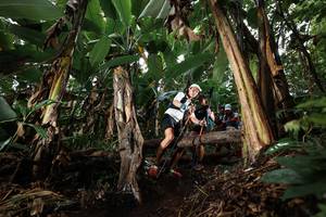 BIB: 
                            <button type="button" onclick="openModal(22419587)" class="btn btn-primary btn-sm float-right btn-popup" data-toggle="modal" data-target=".modal-high-quality">
                        <i class="fas fa-shopping-cart"></i> Add to Cart
                    </button>
                                            <button type="button" onclick="isThisMe(22419587, true)" class="btn btn-success btn-sm float-right btn-popup btn-isme hidden" data-toggle="tooltip" data-placement="bottom" title="นี่คือรูปของคุณใช่ไหม คลิกที่นี่เพื่อเอาเข้าอัลบั้ม">
                        <i class="fas fa-plus"></i> Add to album
                    </button>
                    <button type="button" onclick="isThisMe(22419587, false)" class="btn btn-warning btn-sm float-right btn-popup btn-isnotme hidden">
                        <i class="fas fa-ban"></i> Remove from album
                    </button>