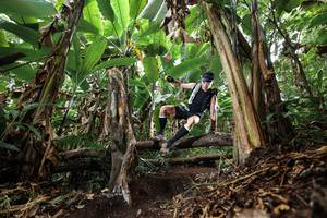 BIB: 
                            <button type="button" onclick="openModal(22392910)" class="btn btn-primary btn-sm float-right btn-popup" data-toggle="modal" data-target=".modal-high-quality">
                        <i class="fas fa-shopping-cart"></i> Add to Cart
                    </button>
                                            <button type="button" onclick="isThisMe(22392910, true)" class="btn btn-success btn-sm float-right btn-popup btn-isme hidden" data-toggle="tooltip" data-placement="bottom" title="นี่คือรูปของคุณใช่ไหม คลิกที่นี่เพื่อเอาเข้าอัลบั้ม">
                        <i class="fas fa-plus"></i> Add to album
                    </button>
                    <button type="button" onclick="isThisMe(22392910, false)" class="btn btn-warning btn-sm float-right btn-popup btn-isnotme hidden">
                        <i class="fas fa-ban"></i> Remove from album
                    </button>