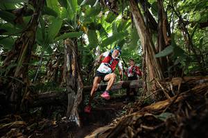 BIB: 
                            <button type="button" onclick="openModal(22387298)" class="btn btn-primary btn-sm float-right btn-popup" data-toggle="modal" data-target=".modal-high-quality">
                        <i class="fas fa-shopping-cart"></i> Add to Cart
                    </button>
                                            <button type="button" onclick="isThisMe(22387298, true)" class="btn btn-success btn-sm float-right btn-popup btn-isme hidden" data-toggle="tooltip" data-placement="bottom" title="นี่คือรูปของคุณใช่ไหม คลิกที่นี่เพื่อเอาเข้าอัลบั้ม">
                        <i class="fas fa-plus"></i> Add to album
                    </button>
                    <button type="button" onclick="isThisMe(22387298, false)" class="btn btn-warning btn-sm float-right btn-popup btn-isnotme hidden">
                        <i class="fas fa-ban"></i> Remove from album
                    </button>