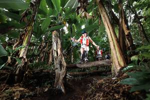 BIB: 
                            <button type="button" onclick="openModal(22419776)" class="btn btn-primary btn-sm float-right btn-popup" data-toggle="modal" data-target=".modal-high-quality">
                        <i class="fas fa-shopping-cart"></i> Add to Cart
                    </button>
                                            <button type="button" onclick="isThisMe(22419776, true)" class="btn btn-success btn-sm float-right btn-popup btn-isme hidden" data-toggle="tooltip" data-placement="bottom" title="นี่คือรูปของคุณใช่ไหม คลิกที่นี่เพื่อเอาเข้าอัลบั้ม">
                        <i class="fas fa-plus"></i> Add to album
                    </button>
                    <button type="button" onclick="isThisMe(22419776, false)" class="btn btn-warning btn-sm float-right btn-popup btn-isnotme hidden">
                        <i class="fas fa-ban"></i> Remove from album
                    </button>