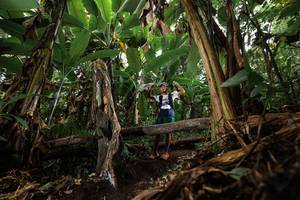 BIB: 
                            <button type="button" onclick="openModal(22392675)" class="btn btn-primary btn-sm float-right btn-popup" data-toggle="modal" data-target=".modal-high-quality">
                        <i class="fas fa-shopping-cart"></i> Add to Cart
                    </button>
                                            <button type="button" onclick="isThisMe(22392675, true)" class="btn btn-success btn-sm float-right btn-popup btn-isme hidden" data-toggle="tooltip" data-placement="bottom" title="นี่คือรูปของคุณใช่ไหม คลิกที่นี่เพื่อเอาเข้าอัลบั้ม">
                        <i class="fas fa-plus"></i> Add to album
                    </button>
                    <button type="button" onclick="isThisMe(22392675, false)" class="btn btn-warning btn-sm float-right btn-popup btn-isnotme hidden">
                        <i class="fas fa-ban"></i> Remove from album
                    </button>