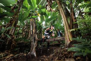 BIB: 
                            <button type="button" onclick="openModal(22397857)" class="btn btn-primary btn-sm float-right btn-popup" data-toggle="modal" data-target=".modal-high-quality">
                        <i class="fas fa-shopping-cart"></i> Add to Cart
                    </button>
                                            <button type="button" onclick="isThisMe(22397857, true)" class="btn btn-success btn-sm float-right btn-popup btn-isme hidden" data-toggle="tooltip" data-placement="bottom" title="นี่คือรูปของคุณใช่ไหม คลิกที่นี่เพื่อเอาเข้าอัลบั้ม">
                        <i class="fas fa-plus"></i> Add to album
                    </button>
                    <button type="button" onclick="isThisMe(22397857, false)" class="btn btn-warning btn-sm float-right btn-popup btn-isnotme hidden">
                        <i class="fas fa-ban"></i> Remove from album
                    </button>