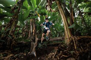 BIB: 
                            <button type="button" onclick="openModal(22392828)" class="btn btn-primary btn-sm float-right btn-popup" data-toggle="modal" data-target=".modal-high-quality">
                        <i class="fas fa-shopping-cart"></i> Add to Cart
                    </button>
                                            <button type="button" onclick="isThisMe(22392828, true)" class="btn btn-success btn-sm float-right btn-popup btn-isme hidden" data-toggle="tooltip" data-placement="bottom" title="นี่คือรูปของคุณใช่ไหม คลิกที่นี่เพื่อเอาเข้าอัลบั้ม">
                        <i class="fas fa-plus"></i> Add to album
                    </button>
                    <button type="button" onclick="isThisMe(22392828, false)" class="btn btn-warning btn-sm float-right btn-popup btn-isnotme hidden">
                        <i class="fas fa-ban"></i> Remove from album
                    </button>