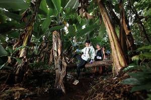 BIB: 
                            <button type="button" onclick="openModal(22419314)" class="btn btn-primary btn-sm float-right btn-popup" data-toggle="modal" data-target=".modal-high-quality">
                        <i class="fas fa-shopping-cart"></i> Add to Cart
                    </button>
                                            <button type="button" onclick="isThisMe(22419314, true)" class="btn btn-success btn-sm float-right btn-popup btn-isme hidden" data-toggle="tooltip" data-placement="bottom" title="นี่คือรูปของคุณใช่ไหม คลิกที่นี่เพื่อเอาเข้าอัลบั้ม">
                        <i class="fas fa-plus"></i> Add to album
                    </button>
                    <button type="button" onclick="isThisMe(22419314, false)" class="btn btn-warning btn-sm float-right btn-popup btn-isnotme hidden">
                        <i class="fas fa-ban"></i> Remove from album
                    </button>