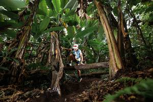 BIB: 
                            <button type="button" onclick="openModal(22393155)" class="btn btn-primary btn-sm float-right btn-popup" data-toggle="modal" data-target=".modal-high-quality">
                        <i class="fas fa-shopping-cart"></i> Add to Cart
                    </button>
                                            <button type="button" onclick="isThisMe(22393155, true)" class="btn btn-success btn-sm float-right btn-popup btn-isme hidden" data-toggle="tooltip" data-placement="bottom" title="นี่คือรูปของคุณใช่ไหม คลิกที่นี่เพื่อเอาเข้าอัลบั้ม">
                        <i class="fas fa-plus"></i> Add to album
                    </button>
                    <button type="button" onclick="isThisMe(22393155, false)" class="btn btn-warning btn-sm float-right btn-popup btn-isnotme hidden">
                        <i class="fas fa-ban"></i> Remove from album
                    </button>