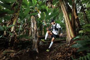 BIB: 
                            <button type="button" onclick="openModal(22418500)" class="btn btn-primary btn-sm float-right btn-popup" data-toggle="modal" data-target=".modal-high-quality">
                        <i class="fas fa-shopping-cart"></i> Add to Cart
                    </button>
                                            <button type="button" onclick="isThisMe(22418500, true)" class="btn btn-success btn-sm float-right btn-popup btn-isme hidden" data-toggle="tooltip" data-placement="bottom" title="นี่คือรูปของคุณใช่ไหม คลิกที่นี่เพื่อเอาเข้าอัลบั้ม">
                        <i class="fas fa-plus"></i> Add to album
                    </button>
                    <button type="button" onclick="isThisMe(22418500, false)" class="btn btn-warning btn-sm float-right btn-popup btn-isnotme hidden">
                        <i class="fas fa-ban"></i> Remove from album
                    </button>