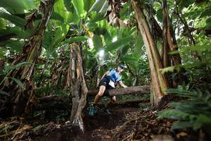 BIB: 
                            <button type="button" onclick="openModal(22398678)" class="btn btn-primary btn-sm float-right btn-popup" data-toggle="modal" data-target=".modal-high-quality">
                        <i class="fas fa-shopping-cart"></i> Add to Cart
                    </button>
                                            <button type="button" onclick="isThisMe(22398678, true)" class="btn btn-success btn-sm float-right btn-popup btn-isme hidden" data-toggle="tooltip" data-placement="bottom" title="นี่คือรูปของคุณใช่ไหม คลิกที่นี่เพื่อเอาเข้าอัลบั้ม">
                        <i class="fas fa-plus"></i> Add to album
                    </button>
                    <button type="button" onclick="isThisMe(22398678, false)" class="btn btn-warning btn-sm float-right btn-popup btn-isnotme hidden">
                        <i class="fas fa-ban"></i> Remove from album
                    </button>