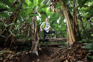 BIB: 
                            <button type="button" onclick="openModal(22416038)" class="btn btn-primary btn-sm float-right btn-popup" data-toggle="modal" data-target=".modal-high-quality">
                        <i class="fas fa-shopping-cart"></i> Add to Cart
                    </button>
                                            <button type="button" onclick="isThisMe(22416038, true)" class="btn btn-success btn-sm float-right btn-popup btn-isme hidden" data-toggle="tooltip" data-placement="bottom" title="นี่คือรูปของคุณใช่ไหม คลิกที่นี่เพื่อเอาเข้าอัลบั้ม">
                        <i class="fas fa-plus"></i> Add to album
                    </button>
                    <button type="button" onclick="isThisMe(22416038, false)" class="btn btn-warning btn-sm float-right btn-popup btn-isnotme hidden">
                        <i class="fas fa-ban"></i> Remove from album
                    </button>