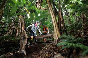 BIB: 
                            <button type="button" onclick="openModal(22414735)" class="btn btn-primary btn-sm float-right btn-popup" data-toggle="modal" data-target=".modal-high-quality">
                        <i class="fas fa-shopping-cart"></i> Add to Cart
                    </button>
                                            <button type="button" onclick="isThisMe(22414735, true)" class="btn btn-success btn-sm float-right btn-popup btn-isme hidden" data-toggle="tooltip" data-placement="bottom" title="นี่คือรูปของคุณใช่ไหม คลิกที่นี่เพื่อเอาเข้าอัลบั้ม">
                        <i class="fas fa-plus"></i> Add to album
                    </button>
                    <button type="button" onclick="isThisMe(22414735, false)" class="btn btn-warning btn-sm float-right btn-popup btn-isnotme hidden">
                        <i class="fas fa-ban"></i> Remove from album
                    </button>