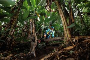 BIB: 
                            <button type="button" onclick="openModal(22392800)" class="btn btn-primary btn-sm float-right btn-popup" data-toggle="modal" data-target=".modal-high-quality">
                        <i class="fas fa-shopping-cart"></i> Add to Cart
                    </button>
                                            <button type="button" onclick="isThisMe(22392800, true)" class="btn btn-success btn-sm float-right btn-popup btn-isme hidden" data-toggle="tooltip" data-placement="bottom" title="นี่คือรูปของคุณใช่ไหม คลิกที่นี่เพื่อเอาเข้าอัลบั้ม">
                        <i class="fas fa-plus"></i> Add to album
                    </button>
                    <button type="button" onclick="isThisMe(22392800, false)" class="btn btn-warning btn-sm float-right btn-popup btn-isnotme hidden">
                        <i class="fas fa-ban"></i> Remove from album
                    </button>