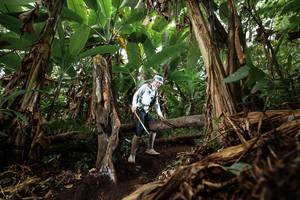 BIB: 
                            <button type="button" onclick="openModal(22392338)" class="btn btn-primary btn-sm float-right btn-popup" data-toggle="modal" data-target=".modal-high-quality">
                        <i class="fas fa-shopping-cart"></i> Add to Cart
                    </button>
                                            <button type="button" onclick="isThisMe(22392338, true)" class="btn btn-success btn-sm float-right btn-popup btn-isme hidden" data-toggle="tooltip" data-placement="bottom" title="นี่คือรูปของคุณใช่ไหม คลิกที่นี่เพื่อเอาเข้าอัลบั้ม">
                        <i class="fas fa-plus"></i> Add to album
                    </button>
                    <button type="button" onclick="isThisMe(22392338, false)" class="btn btn-warning btn-sm float-right btn-popup btn-isnotme hidden">
                        <i class="fas fa-ban"></i> Remove from album
                    </button>