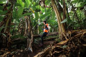 BIB: 
                            <button type="button" onclick="openModal(22392712)" class="btn btn-primary btn-sm float-right btn-popup" data-toggle="modal" data-target=".modal-high-quality">
                        <i class="fas fa-shopping-cart"></i> Add to Cart
                    </button>
                                            <button type="button" onclick="isThisMe(22392712, true)" class="btn btn-success btn-sm float-right btn-popup btn-isme hidden" data-toggle="tooltip" data-placement="bottom" title="นี่คือรูปของคุณใช่ไหม คลิกที่นี่เพื่อเอาเข้าอัลบั้ม">
                        <i class="fas fa-plus"></i> Add to album
                    </button>
                    <button type="button" onclick="isThisMe(22392712, false)" class="btn btn-warning btn-sm float-right btn-popup btn-isnotme hidden">
                        <i class="fas fa-ban"></i> Remove from album
                    </button>