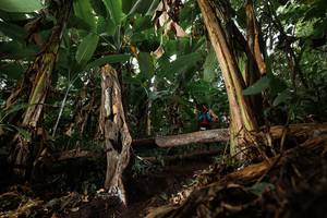 BIB: 
                            <button type="button" onclick="openModal(22392575)" class="btn btn-primary btn-sm float-right btn-popup" data-toggle="modal" data-target=".modal-high-quality">
                        <i class="fas fa-shopping-cart"></i> Add to Cart
                    </button>
                                            <button type="button" onclick="isThisMe(22392575, true)" class="btn btn-success btn-sm float-right btn-popup btn-isme hidden" data-toggle="tooltip" data-placement="bottom" title="นี่คือรูปของคุณใช่ไหม คลิกที่นี่เพื่อเอาเข้าอัลบั้ม">
                        <i class="fas fa-plus"></i> Add to album
                    </button>
                    <button type="button" onclick="isThisMe(22392575, false)" class="btn btn-warning btn-sm float-right btn-popup btn-isnotme hidden">
                        <i class="fas fa-ban"></i> Remove from album
                    </button>