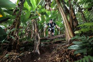 BIB: 
                            <button type="button" onclick="openModal(22415659)" class="btn btn-primary btn-sm float-right btn-popup" data-toggle="modal" data-target=".modal-high-quality">
                        <i class="fas fa-shopping-cart"></i> Add to Cart
                    </button>
                                            <button type="button" onclick="isThisMe(22415659, true)" class="btn btn-success btn-sm float-right btn-popup btn-isme hidden" data-toggle="tooltip" data-placement="bottom" title="นี่คือรูปของคุณใช่ไหม คลิกที่นี่เพื่อเอาเข้าอัลบั้ม">
                        <i class="fas fa-plus"></i> Add to album
                    </button>
                    <button type="button" onclick="isThisMe(22415659, false)" class="btn btn-warning btn-sm float-right btn-popup btn-isnotme hidden">
                        <i class="fas fa-ban"></i> Remove from album
                    </button>