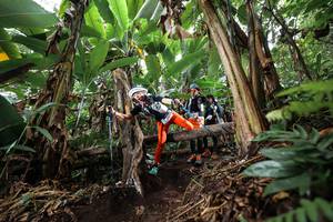 BIB: 
                            <button type="button" onclick="openModal(22415371)" class="btn btn-primary btn-sm float-right btn-popup" data-toggle="modal" data-target=".modal-high-quality">
                        <i class="fas fa-shopping-cart"></i> Add to Cart
                    </button>
                                            <button type="button" onclick="isThisMe(22415371, true)" class="btn btn-success btn-sm float-right btn-popup btn-isme hidden" data-toggle="tooltip" data-placement="bottom" title="นี่คือรูปของคุณใช่ไหม คลิกที่นี่เพื่อเอาเข้าอัลบั้ม">
                        <i class="fas fa-plus"></i> Add to album
                    </button>
                    <button type="button" onclick="isThisMe(22415371, false)" class="btn btn-warning btn-sm float-right btn-popup btn-isnotme hidden">
                        <i class="fas fa-ban"></i> Remove from album
                    </button>