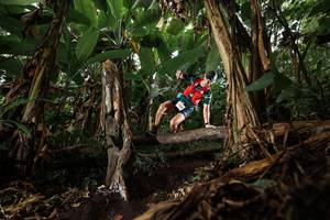 BIB: 
                            <button type="button" onclick="openModal(22392475)" class="btn btn-primary btn-sm float-right btn-popup" data-toggle="modal" data-target=".modal-high-quality">
                        <i class="fas fa-shopping-cart"></i> Add to Cart
                    </button>
                                            <button type="button" onclick="isThisMe(22392475, true)" class="btn btn-success btn-sm float-right btn-popup btn-isme hidden" data-toggle="tooltip" data-placement="bottom" title="นี่คือรูปของคุณใช่ไหม คลิกที่นี่เพื่อเอาเข้าอัลบั้ม">
                        <i class="fas fa-plus"></i> Add to album
                    </button>
                    <button type="button" onclick="isThisMe(22392475, false)" class="btn btn-warning btn-sm float-right btn-popup btn-isnotme hidden">
                        <i class="fas fa-ban"></i> Remove from album
                    </button>