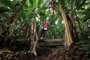 BIB: 
                            <button type="button" onclick="openModal(22417487)" class="btn btn-primary btn-sm float-right btn-popup" data-toggle="modal" data-target=".modal-high-quality">
                        <i class="fas fa-shopping-cart"></i> Add to Cart
                    </button>
                                            <button type="button" onclick="isThisMe(22417487, true)" class="btn btn-success btn-sm float-right btn-popup btn-isme hidden" data-toggle="tooltip" data-placement="bottom" title="นี่คือรูปของคุณใช่ไหม คลิกที่นี่เพื่อเอาเข้าอัลบั้ม">
                        <i class="fas fa-plus"></i> Add to album
                    </button>
                    <button type="button" onclick="isThisMe(22417487, false)" class="btn btn-warning btn-sm float-right btn-popup btn-isnotme hidden">
                        <i class="fas fa-ban"></i> Remove from album
                    </button>