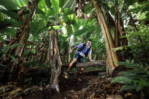 BIB: 
                            <button type="button" onclick="openModal(22397845)" class="btn btn-primary btn-sm float-right btn-popup" data-toggle="modal" data-target=".modal-high-quality">
                        <i class="fas fa-shopping-cart"></i> Add to Cart
                    </button>
                                            <button type="button" onclick="isThisMe(22397845, true)" class="btn btn-success btn-sm float-right btn-popup btn-isme hidden" data-toggle="tooltip" data-placement="bottom" title="นี่คือรูปของคุณใช่ไหม คลิกที่นี่เพื่อเอาเข้าอัลบั้ม">
                        <i class="fas fa-plus"></i> Add to album
                    </button>
                    <button type="button" onclick="isThisMe(22397845, false)" class="btn btn-warning btn-sm float-right btn-popup btn-isnotme hidden">
                        <i class="fas fa-ban"></i> Remove from album
                    </button>