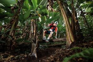 BIB: 
                            <button type="button" onclick="openModal(22393196)" class="btn btn-primary btn-sm float-right btn-popup" data-toggle="modal" data-target=".modal-high-quality">
                        <i class="fas fa-shopping-cart"></i> Add to Cart
                    </button>
                                            <button type="button" onclick="isThisMe(22393196, true)" class="btn btn-success btn-sm float-right btn-popup btn-isme hidden" data-toggle="tooltip" data-placement="bottom" title="นี่คือรูปของคุณใช่ไหม คลิกที่นี่เพื่อเอาเข้าอัลบั้ม">
                        <i class="fas fa-plus"></i> Add to album
                    </button>
                    <button type="button" onclick="isThisMe(22393196, false)" class="btn btn-warning btn-sm float-right btn-popup btn-isnotme hidden">
                        <i class="fas fa-ban"></i> Remove from album
                    </button>