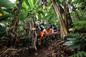 BIB: 
                            <button type="button" onclick="openModal(22415356)" class="btn btn-primary btn-sm float-right btn-popup" data-toggle="modal" data-target=".modal-high-quality">
                        <i class="fas fa-shopping-cart"></i> Add to Cart
                    </button>
                                            <button type="button" onclick="isThisMe(22415356, true)" class="btn btn-success btn-sm float-right btn-popup btn-isme hidden" data-toggle="tooltip" data-placement="bottom" title="นี่คือรูปของคุณใช่ไหม คลิกที่นี่เพื่อเอาเข้าอัลบั้ม">
                        <i class="fas fa-plus"></i> Add to album
                    </button>
                    <button type="button" onclick="isThisMe(22415356, false)" class="btn btn-warning btn-sm float-right btn-popup btn-isnotme hidden">
                        <i class="fas fa-ban"></i> Remove from album
                    </button>