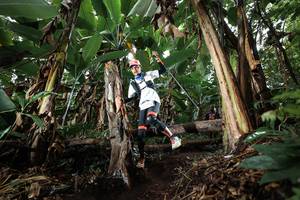 BIB: 
                            <button type="button" onclick="openModal(22419726)" class="btn btn-primary btn-sm float-right btn-popup" data-toggle="modal" data-target=".modal-high-quality">
                        <i class="fas fa-shopping-cart"></i> Add to Cart
                    </button>
                                            <button type="button" onclick="isThisMe(22419726, true)" class="btn btn-success btn-sm float-right btn-popup btn-isme hidden" data-toggle="tooltip" data-placement="bottom" title="นี่คือรูปของคุณใช่ไหม คลิกที่นี่เพื่อเอาเข้าอัลบั้ม">
                        <i class="fas fa-plus"></i> Add to album
                    </button>
                    <button type="button" onclick="isThisMe(22419726, false)" class="btn btn-warning btn-sm float-right btn-popup btn-isnotme hidden">
                        <i class="fas fa-ban"></i> Remove from album
                    </button>