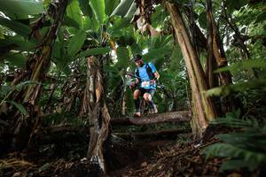 BIB: 
                            <button type="button" onclick="openModal(22403053)" class="btn btn-primary btn-sm float-right btn-popup" data-toggle="modal" data-target=".modal-high-quality">
                        <i class="fas fa-shopping-cart"></i> Add to Cart
                    </button>
                                            <button type="button" onclick="isThisMe(22403053, true)" class="btn btn-success btn-sm float-right btn-popup btn-isme hidden" data-toggle="tooltip" data-placement="bottom" title="นี่คือรูปของคุณใช่ไหม คลิกที่นี่เพื่อเอาเข้าอัลบั้ม">
                        <i class="fas fa-plus"></i> Add to album
                    </button>
                    <button type="button" onclick="isThisMe(22403053, false)" class="btn btn-warning btn-sm float-right btn-popup btn-isnotme hidden">
                        <i class="fas fa-ban"></i> Remove from album
                    </button>