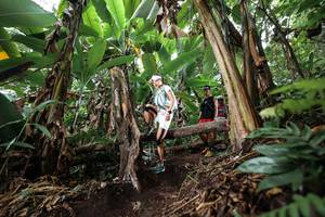 BIB: 
                            <button type="button" onclick="openModal(22415482)" class="btn btn-primary btn-sm float-right btn-popup" data-toggle="modal" data-target=".modal-high-quality">
                        <i class="fas fa-shopping-cart"></i> Add to Cart
                    </button>
                                            <button type="button" onclick="isThisMe(22415482, true)" class="btn btn-success btn-sm float-right btn-popup btn-isme hidden" data-toggle="tooltip" data-placement="bottom" title="นี่คือรูปของคุณใช่ไหม คลิกที่นี่เพื่อเอาเข้าอัลบั้ม">
                        <i class="fas fa-plus"></i> Add to album
                    </button>
                    <button type="button" onclick="isThisMe(22415482, false)" class="btn btn-warning btn-sm float-right btn-popup btn-isnotme hidden">
                        <i class="fas fa-ban"></i> Remove from album
                    </button>