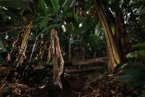 BIB: 
                            <button type="button" onclick="openModal(22422509)" class="btn btn-primary btn-sm float-right btn-popup" data-toggle="modal" data-target=".modal-high-quality">
                        <i class="fas fa-shopping-cart"></i> Add to Cart
                    </button>
                                            <button type="button" onclick="isThisMe(22422509, true)" class="btn btn-success btn-sm float-right btn-popup btn-isme hidden" data-toggle="tooltip" data-placement="bottom" title="นี่คือรูปของคุณใช่ไหม คลิกที่นี่เพื่อเอาเข้าอัลบั้ม">
                        <i class="fas fa-plus"></i> Add to album
                    </button>
                    <button type="button" onclick="isThisMe(22422509, false)" class="btn btn-warning btn-sm float-right btn-popup btn-isnotme hidden">
                        <i class="fas fa-ban"></i> Remove from album
                    </button>