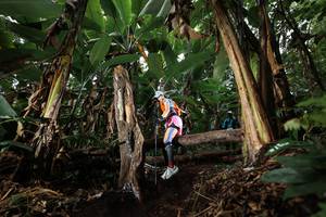 BIB: 
                            <button type="button" onclick="openModal(22421977)" class="btn btn-primary btn-sm float-right btn-popup" data-toggle="modal" data-target=".modal-high-quality">
                        <i class="fas fa-shopping-cart"></i> Add to Cart
                    </button>
                                            <button type="button" onclick="isThisMe(22421977, true)" class="btn btn-success btn-sm float-right btn-popup btn-isme hidden" data-toggle="tooltip" data-placement="bottom" title="นี่คือรูปของคุณใช่ไหม คลิกที่นี่เพื่อเอาเข้าอัลบั้ม">
                        <i class="fas fa-plus"></i> Add to album
                    </button>
                    <button type="button" onclick="isThisMe(22421977, false)" class="btn btn-warning btn-sm float-right btn-popup btn-isnotme hidden">
                        <i class="fas fa-ban"></i> Remove from album
                    </button>