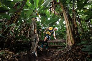 BIB: 
                            <button type="button" onclick="openModal(22417676)" class="btn btn-primary btn-sm float-right btn-popup" data-toggle="modal" data-target=".modal-high-quality">
                        <i class="fas fa-shopping-cart"></i> Add to Cart
                    </button>
                                            <button type="button" onclick="isThisMe(22417676, true)" class="btn btn-success btn-sm float-right btn-popup btn-isme hidden" data-toggle="tooltip" data-placement="bottom" title="นี่คือรูปของคุณใช่ไหม คลิกที่นี่เพื่อเอาเข้าอัลบั้ม">
                        <i class="fas fa-plus"></i> Add to album
                    </button>
                    <button type="button" onclick="isThisMe(22417676, false)" class="btn btn-warning btn-sm float-right btn-popup btn-isnotme hidden">
                        <i class="fas fa-ban"></i> Remove from album
                    </button>