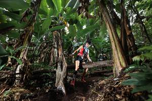 BIB: 
                            <button type="button" onclick="openModal(22420882)" class="btn btn-primary btn-sm float-right btn-popup" data-toggle="modal" data-target=".modal-high-quality">
                        <i class="fas fa-shopping-cart"></i> Add to Cart
                    </button>
                                            <button type="button" onclick="isThisMe(22420882, true)" class="btn btn-success btn-sm float-right btn-popup btn-isme hidden" data-toggle="tooltip" data-placement="bottom" title="นี่คือรูปของคุณใช่ไหม คลิกที่นี่เพื่อเอาเข้าอัลบั้ม">
                        <i class="fas fa-plus"></i> Add to album
                    </button>
                    <button type="button" onclick="isThisMe(22420882, false)" class="btn btn-warning btn-sm float-right btn-popup btn-isnotme hidden">
                        <i class="fas fa-ban"></i> Remove from album
                    </button>