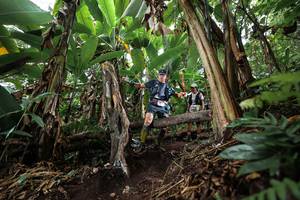 BIB: 
                            <button type="button" onclick="openModal(22415848)" class="btn btn-primary btn-sm float-right btn-popup" data-toggle="modal" data-target=".modal-high-quality">
                        <i class="fas fa-shopping-cart"></i> Add to Cart
                    </button>
                                            <button type="button" onclick="isThisMe(22415848, true)" class="btn btn-success btn-sm float-right btn-popup btn-isme hidden" data-toggle="tooltip" data-placement="bottom" title="นี่คือรูปของคุณใช่ไหม คลิกที่นี่เพื่อเอาเข้าอัลบั้ม">
                        <i class="fas fa-plus"></i> Add to album
                    </button>
                    <button type="button" onclick="isThisMe(22415848, false)" class="btn btn-warning btn-sm float-right btn-popup btn-isnotme hidden">
                        <i class="fas fa-ban"></i> Remove from album
                    </button>