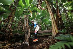 BIB: 
                            <button type="button" onclick="openModal(22393228)" class="btn btn-primary btn-sm float-right btn-popup" data-toggle="modal" data-target=".modal-high-quality">
                        <i class="fas fa-shopping-cart"></i> Add to Cart
                    </button>
                                            <button type="button" onclick="isThisMe(22393228, true)" class="btn btn-success btn-sm float-right btn-popup btn-isme hidden" data-toggle="tooltip" data-placement="bottom" title="นี่คือรูปของคุณใช่ไหม คลิกที่นี่เพื่อเอาเข้าอัลบั้ม">
                        <i class="fas fa-plus"></i> Add to album
                    </button>
                    <button type="button" onclick="isThisMe(22393228, false)" class="btn btn-warning btn-sm float-right btn-popup btn-isnotme hidden">
                        <i class="fas fa-ban"></i> Remove from album
                    </button>