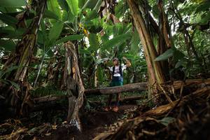 BIB: 
                            <button type="button" onclick="openModal(22392672)" class="btn btn-primary btn-sm float-right btn-popup" data-toggle="modal" data-target=".modal-high-quality">
                        <i class="fas fa-shopping-cart"></i> Add to Cart
                    </button>
                                            <button type="button" onclick="isThisMe(22392672, true)" class="btn btn-success btn-sm float-right btn-popup btn-isme hidden" data-toggle="tooltip" data-placement="bottom" title="นี่คือรูปของคุณใช่ไหม คลิกที่นี่เพื่อเอาเข้าอัลบั้ม">
                        <i class="fas fa-plus"></i> Add to album
                    </button>
                    <button type="button" onclick="isThisMe(22392672, false)" class="btn btn-warning btn-sm float-right btn-popup btn-isnotme hidden">
                        <i class="fas fa-ban"></i> Remove from album
                    </button>