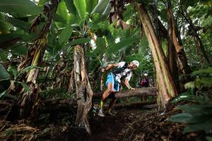 BIB: 
                            <button type="button" onclick="openModal(22418597)" class="btn btn-primary btn-sm float-right btn-popup" data-toggle="modal" data-target=".modal-high-quality">
                        <i class="fas fa-shopping-cart"></i> Add to Cart
                    </button>
                                            <button type="button" onclick="isThisMe(22418597, true)" class="btn btn-success btn-sm float-right btn-popup btn-isme hidden" data-toggle="tooltip" data-placement="bottom" title="นี่คือรูปของคุณใช่ไหม คลิกที่นี่เพื่อเอาเข้าอัลบั้ม">
                        <i class="fas fa-plus"></i> Add to album
                    </button>
                    <button type="button" onclick="isThisMe(22418597, false)" class="btn btn-warning btn-sm float-right btn-popup btn-isnotme hidden">
                        <i class="fas fa-ban"></i> Remove from album
                    </button>