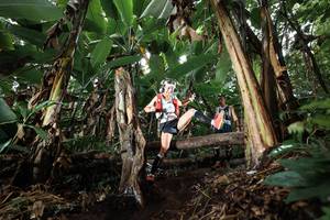 BIB: 
                            <button type="button" onclick="openModal(22419830)" class="btn btn-primary btn-sm float-right btn-popup" data-toggle="modal" data-target=".modal-high-quality">
                        <i class="fas fa-shopping-cart"></i> Add to Cart
                    </button>
                                            <button type="button" onclick="isThisMe(22419830, true)" class="btn btn-success btn-sm float-right btn-popup btn-isme hidden" data-toggle="tooltip" data-placement="bottom" title="นี่คือรูปของคุณใช่ไหม คลิกที่นี่เพื่อเอาเข้าอัลบั้ม">
                        <i class="fas fa-plus"></i> Add to album
                    </button>
                    <button type="button" onclick="isThisMe(22419830, false)" class="btn btn-warning btn-sm float-right btn-popup btn-isnotme hidden">
                        <i class="fas fa-ban"></i> Remove from album
                    </button>