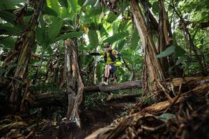 BIB: 
                            <button type="button" onclick="openModal(22387433)" class="btn btn-primary btn-sm float-right btn-popup" data-toggle="modal" data-target=".modal-high-quality">
                        <i class="fas fa-shopping-cart"></i> Add to Cart
                    </button>
                                            <button type="button" onclick="isThisMe(22387433, true)" class="btn btn-success btn-sm float-right btn-popup btn-isme hidden" data-toggle="tooltip" data-placement="bottom" title="นี่คือรูปของคุณใช่ไหม คลิกที่นี่เพื่อเอาเข้าอัลบั้ม">
                        <i class="fas fa-plus"></i> Add to album
                    </button>
                    <button type="button" onclick="isThisMe(22387433, false)" class="btn btn-warning btn-sm float-right btn-popup btn-isnotme hidden">
                        <i class="fas fa-ban"></i> Remove from album
                    </button>