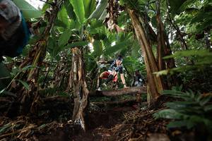 BIB: 
                            <button type="button" onclick="openModal(22399028)" class="btn btn-primary btn-sm float-right btn-popup" data-toggle="modal" data-target=".modal-high-quality">
                        <i class="fas fa-shopping-cart"></i> Add to Cart
                    </button>
                                            <button type="button" onclick="isThisMe(22399028, true)" class="btn btn-success btn-sm float-right btn-popup btn-isme hidden" data-toggle="tooltip" data-placement="bottom" title="นี่คือรูปของคุณใช่ไหม คลิกที่นี่เพื่อเอาเข้าอัลบั้ม">
                        <i class="fas fa-plus"></i> Add to album
                    </button>
                    <button type="button" onclick="isThisMe(22399028, false)" class="btn btn-warning btn-sm float-right btn-popup btn-isnotme hidden">
                        <i class="fas fa-ban"></i> Remove from album
                    </button>