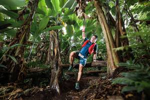 BIB: 
                            <button type="button" onclick="openModal(22398403)" class="btn btn-primary btn-sm float-right btn-popup" data-toggle="modal" data-target=".modal-high-quality">
                        <i class="fas fa-shopping-cart"></i> Add to Cart
                    </button>
                                            <button type="button" onclick="isThisMe(22398403, true)" class="btn btn-success btn-sm float-right btn-popup btn-isme hidden" data-toggle="tooltip" data-placement="bottom" title="นี่คือรูปของคุณใช่ไหม คลิกที่นี่เพื่อเอาเข้าอัลบั้ม">
                        <i class="fas fa-plus"></i> Add to album
                    </button>
                    <button type="button" onclick="isThisMe(22398403, false)" class="btn btn-warning btn-sm float-right btn-popup btn-isnotme hidden">
                        <i class="fas fa-ban"></i> Remove from album
                    </button>