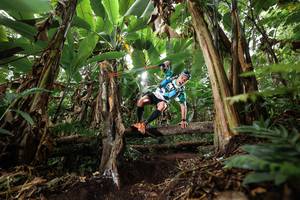 BIB: 
                            <button type="button" onclick="openModal(22398598)" class="btn btn-primary btn-sm float-right btn-popup" data-toggle="modal" data-target=".modal-high-quality">
                        <i class="fas fa-shopping-cart"></i> Add to Cart
                    </button>
                                            <button type="button" onclick="isThisMe(22398598, true)" class="btn btn-success btn-sm float-right btn-popup btn-isme hidden" data-toggle="tooltip" data-placement="bottom" title="นี่คือรูปของคุณใช่ไหม คลิกที่นี่เพื่อเอาเข้าอัลบั้ม">
                        <i class="fas fa-plus"></i> Add to album
                    </button>
                    <button type="button" onclick="isThisMe(22398598, false)" class="btn btn-warning btn-sm float-right btn-popup btn-isnotme hidden">
                        <i class="fas fa-ban"></i> Remove from album
                    </button>