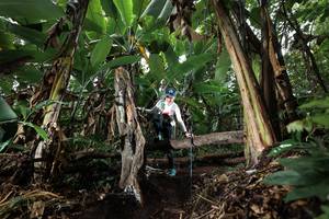 BIB: 
                            <button type="button" onclick="openModal(22421071)" class="btn btn-primary btn-sm float-right btn-popup" data-toggle="modal" data-target=".modal-high-quality">
                        <i class="fas fa-shopping-cart"></i> Add to Cart
                    </button>
                                            <button type="button" onclick="isThisMe(22421071, true)" class="btn btn-success btn-sm float-right btn-popup btn-isme hidden" data-toggle="tooltip" data-placement="bottom" title="นี่คือรูปของคุณใช่ไหม คลิกที่นี่เพื่อเอาเข้าอัลบั้ม">
                        <i class="fas fa-plus"></i> Add to album
                    </button>
                    <button type="button" onclick="isThisMe(22421071, false)" class="btn btn-warning btn-sm float-right btn-popup btn-isnotme hidden">
                        <i class="fas fa-ban"></i> Remove from album
                    </button>