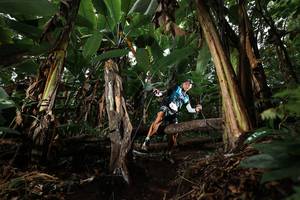 BIB: 
                            <button type="button" onclick="openModal(22422396)" class="btn btn-primary btn-sm float-right btn-popup" data-toggle="modal" data-target=".modal-high-quality">
                        <i class="fas fa-shopping-cart"></i> Add to Cart
                    </button>
                                            <button type="button" onclick="isThisMe(22422396, true)" class="btn btn-success btn-sm float-right btn-popup btn-isme hidden" data-toggle="tooltip" data-placement="bottom" title="นี่คือรูปของคุณใช่ไหม คลิกที่นี่เพื่อเอาเข้าอัลบั้ม">
                        <i class="fas fa-plus"></i> Add to album
                    </button>
                    <button type="button" onclick="isThisMe(22422396, false)" class="btn btn-warning btn-sm float-right btn-popup btn-isnotme hidden">
                        <i class="fas fa-ban"></i> Remove from album
                    </button>