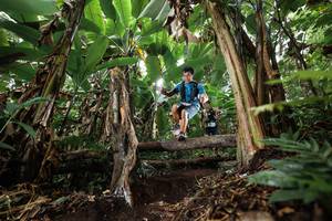 BIB: 
                            <button type="button" onclick="openModal(22397814)" class="btn btn-primary btn-sm float-right btn-popup" data-toggle="modal" data-target=".modal-high-quality">
                        <i class="fas fa-shopping-cart"></i> Add to Cart
                    </button>
                                            <button type="button" onclick="isThisMe(22397814, true)" class="btn btn-success btn-sm float-right btn-popup btn-isme hidden" data-toggle="tooltip" data-placement="bottom" title="นี่คือรูปของคุณใช่ไหม คลิกที่นี่เพื่อเอาเข้าอัลบั้ม">
                        <i class="fas fa-plus"></i> Add to album
                    </button>
                    <button type="button" onclick="isThisMe(22397814, false)" class="btn btn-warning btn-sm float-right btn-popup btn-isnotme hidden">
                        <i class="fas fa-ban"></i> Remove from album
                    </button>