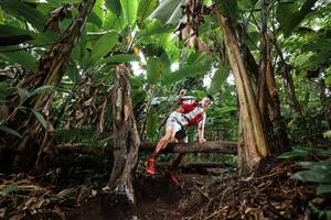 BIB: 
                            <button type="button" onclick="openModal(22416534)" class="btn btn-primary btn-sm float-right btn-popup" data-toggle="modal" data-target=".modal-high-quality">
                        <i class="fas fa-shopping-cart"></i> Add to Cart
                    </button>
                                            <button type="button" onclick="isThisMe(22416534, true)" class="btn btn-success btn-sm float-right btn-popup btn-isme hidden" data-toggle="tooltip" data-placement="bottom" title="นี่คือรูปของคุณใช่ไหม คลิกที่นี่เพื่อเอาเข้าอัลบั้ม">
                        <i class="fas fa-plus"></i> Add to album
                    </button>
                    <button type="button" onclick="isThisMe(22416534, false)" class="btn btn-warning btn-sm float-right btn-popup btn-isnotme hidden">
                        <i class="fas fa-ban"></i> Remove from album
                    </button>